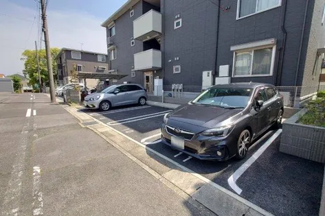プリムローズの画像