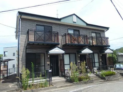 グレイスⅤの画像