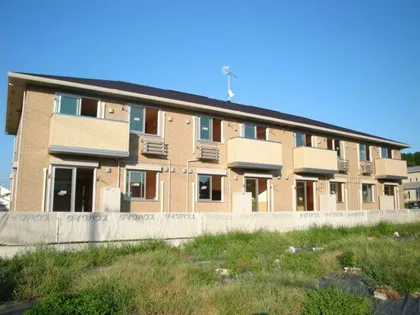 ステラセッテの画像