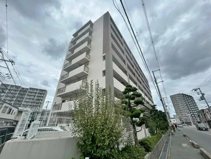 セザール平野の画像