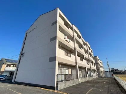 メゾンエクセルⅡ【4階】の外観