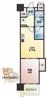 マスターズレジデンス道頓堀Ⅲ【2階】の間取り