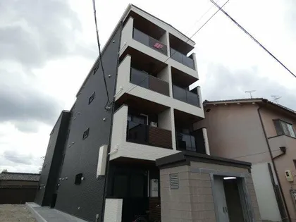 F CLIODHNA SEAMの画像