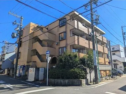 ニコル千種の画像