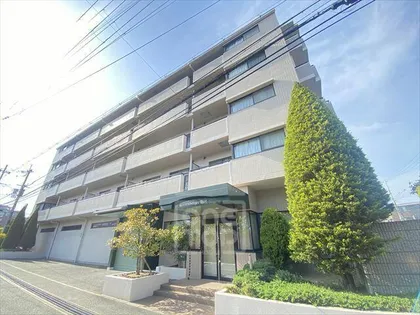 レーラッハアインスの画像