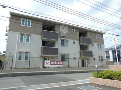 トリフォリウムの画像