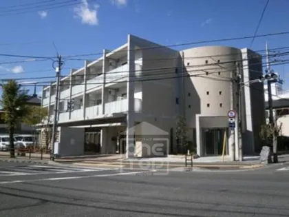 REINE NORD INOUEの画像