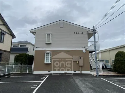 ラフィーネの画像