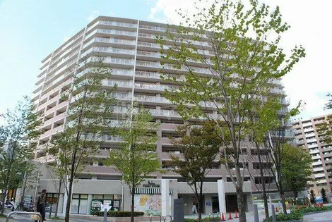 エル セレーノ上本町レジデンスの画像