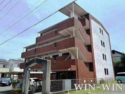 フィオーレ アダチの画像