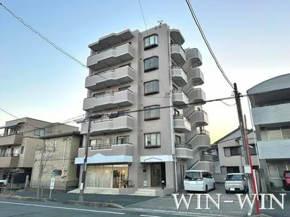 ソシア錦の画像