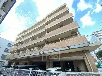 レフィナードの画像