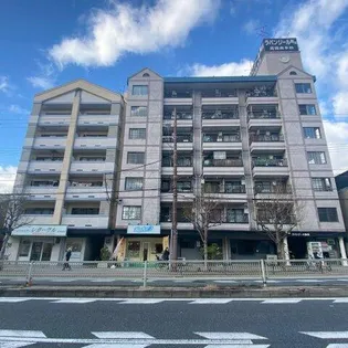 ラパンジール駒川【2階】の外観