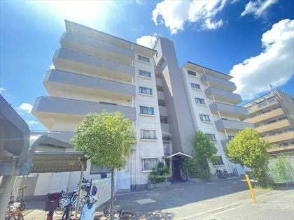 キャニオンアングルの画像