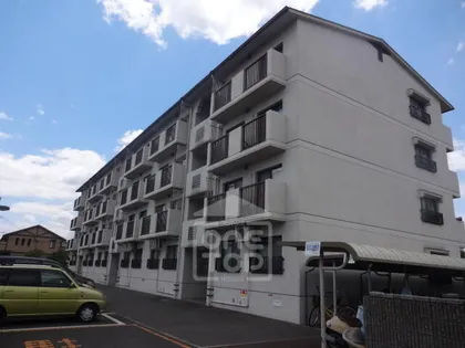 レントリッヒの画像