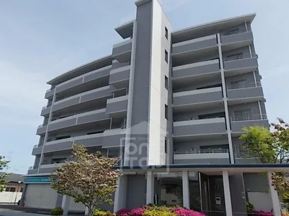 ルミナスベガの画像