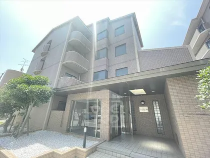 アンフィニィ真砂の画像