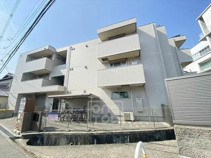 HYDRANGEA CUBEの画像