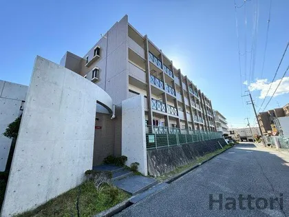 プリムベール向丘の画像