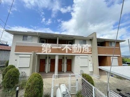 プレアデスAの画像