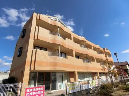 ソレイユの画像