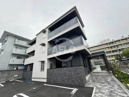 パートリア ネモフィラの画像