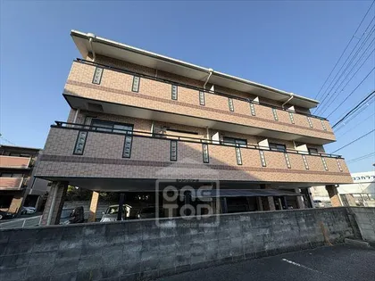 チセ ピリカの画像