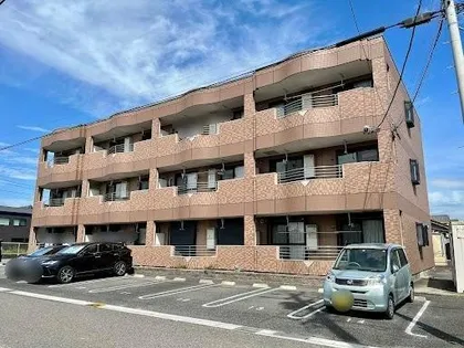 WISTERIA LIFEの画像