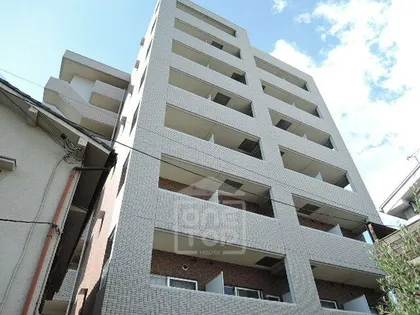 サイプレス ワンの画像