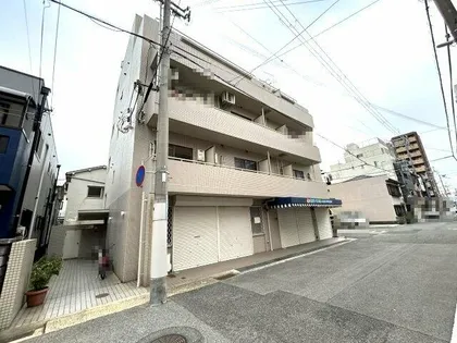 コットンアレーの画像