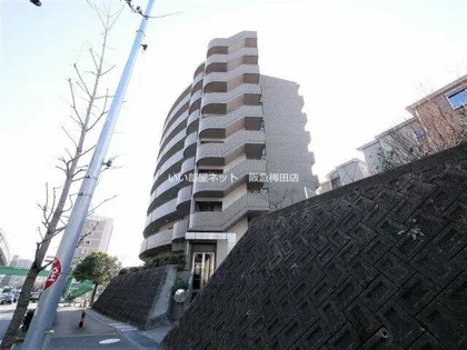 GRANPINO柴原の画像