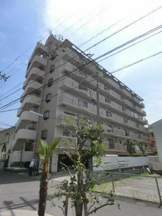 レクシア野崎の画像