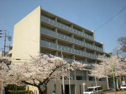 メイビル向陽町【3階】の外観