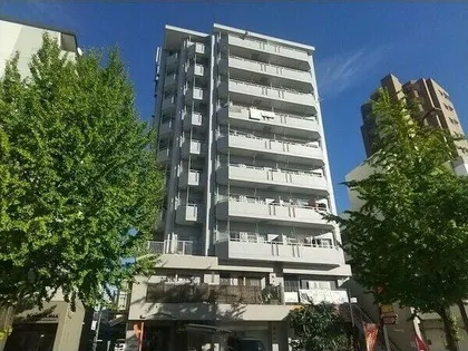 シャンポール古出来の画像