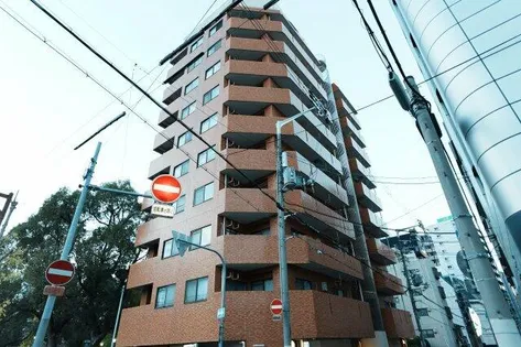 生玉パークハイツ【4階】の外観