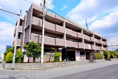 コモドの画像