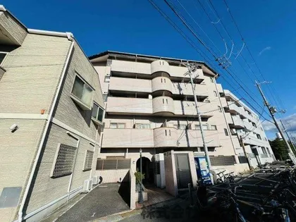 ベルジュネスの画像