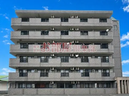 パシフィックパークの画像