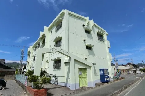 エバーグリーンの画像