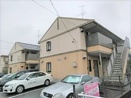 カメリアの画像