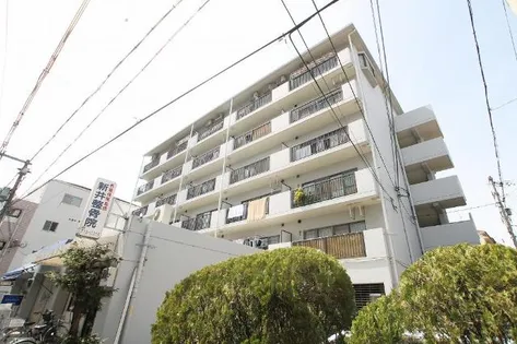 エル ファミールの画像