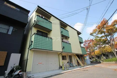 フェアリーアオイの画像