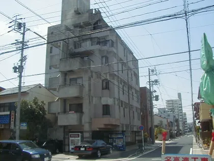 モア ハナノキの画像