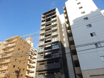 ディアレイシャス金山の画像