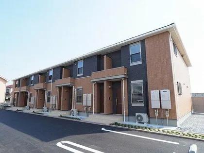 コスモスAの画像