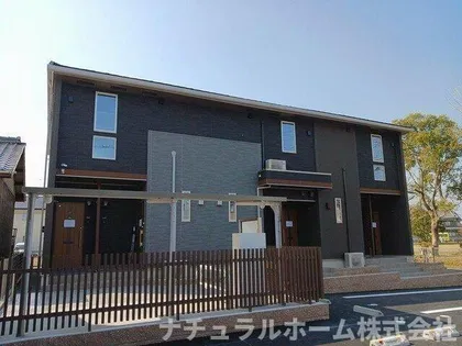 ベルフラワーの画像