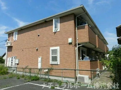 VISION Tの画像