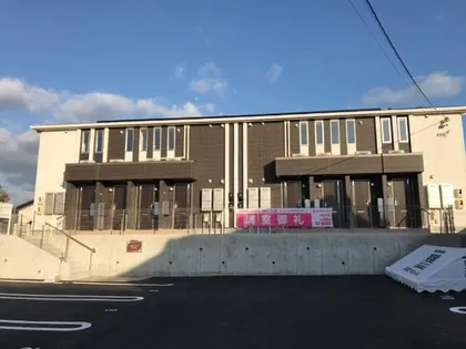 クローバーの画像