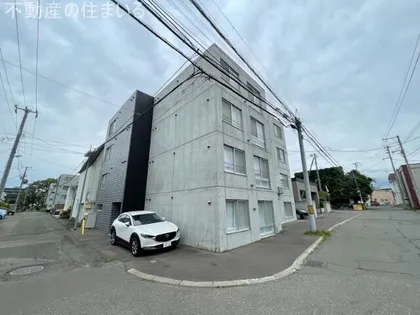 CURTIS SUMIKAWAの画像