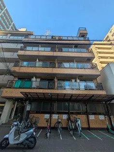 シャイニングスターの画像